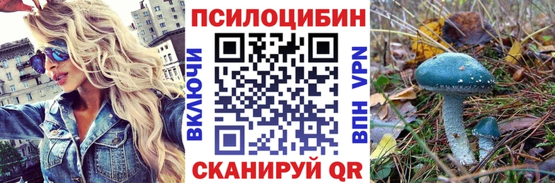Псилоцибиновые грибы MAGIC MUSHROOMS  сколько стоит  Луза 